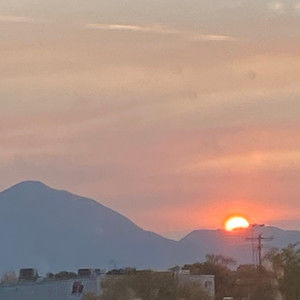 Meet your Posher, Keeley